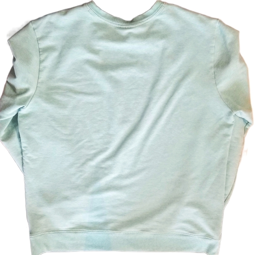 🔱 Patagonia // Organic Cotton Sweatshirt // Seafoam // Men's Large - Picture 4 of 9